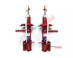 Передние стойки ВАЗ 2109, 2108, 21099 Demfi Premium -50