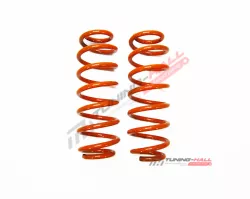 Пружины задние Драйв -50 Технорессор VW Polo MK 5 / Skoda Rapid